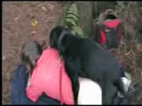 Dog and lady having sex in the woods